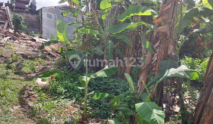 Tanah 4 Are SHM Aspek Perumahan Dekat Sekolah Tunas Daud