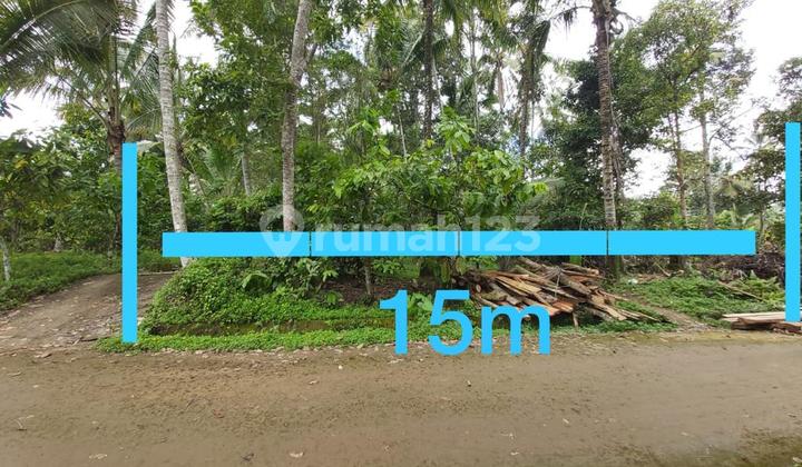 Wide Land Area of 120 Ares in Penebel Tabanan Dk