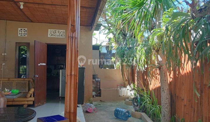 Disewakan Rumah 1 Lantai View Sawah Di Renon 2