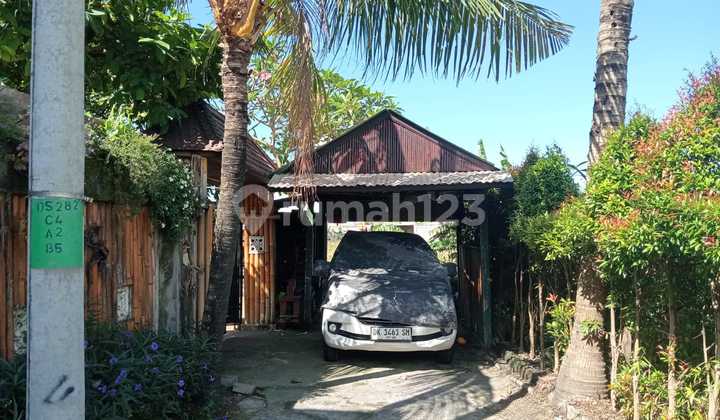 Disewakan Rumah 1 Lantai View Sawah Di Renon 1