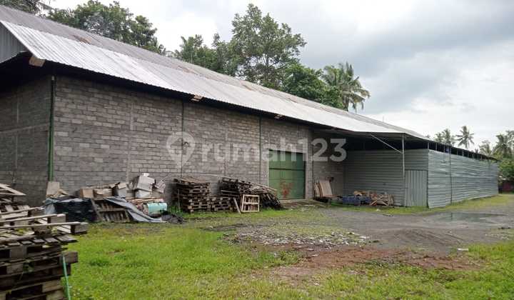 Warehouse Area 25 Are Complete SHM IMB Access for Tronton