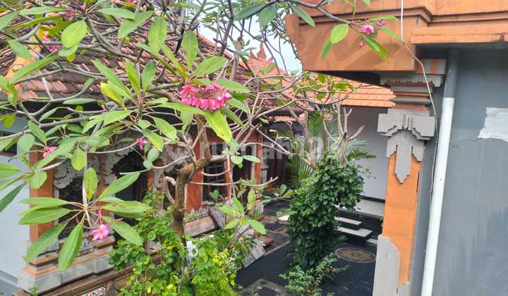 Disewakan Rumah Style Bali Dekat Canggu Ipp Disewakan Rumah Style Bali Dekat Canggu Ipp