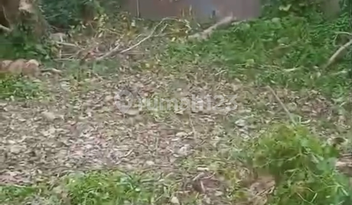 2 Are SHM Land in Villa Munggu Environment