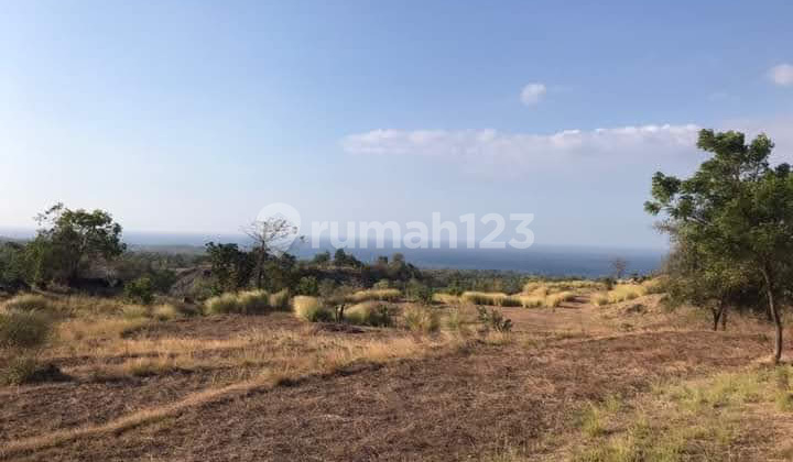 Dijual Tanah 1 Hektar Full View Bukit Di Tulamben Pk Dijual Tanah 1 Hektar Full View Bukit Di Tulamben Pk