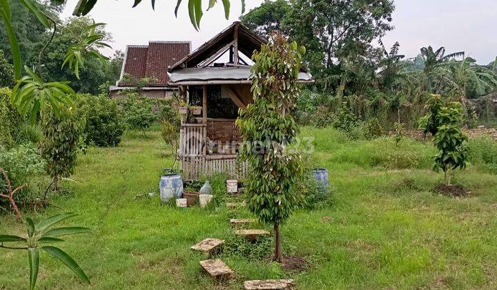 Dijual Tanah Kebun Di Dlagu Mojokerto 1