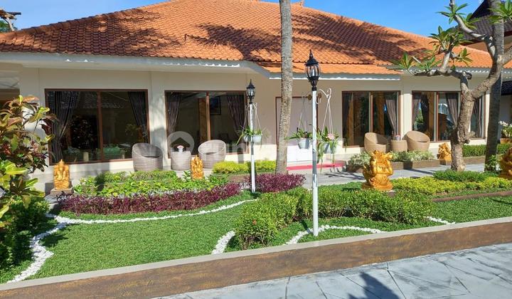 Hotel Bintang 4, pinggir jalan Raya Selangkah Pantai Lovina Bali Hotel Bintang 4, pinggir jalan Raya Selangkah Pantai Lovina Bali