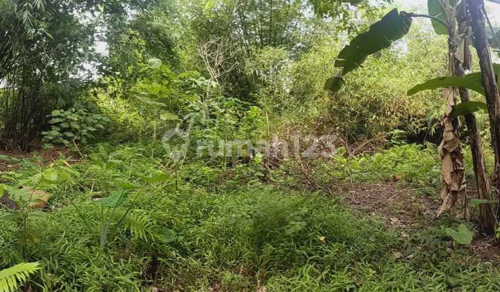 Square-Shaped Land in Cempaka Cisoka Tangerang Square-Shaped Land in Cempaka Cisoka Tangerang