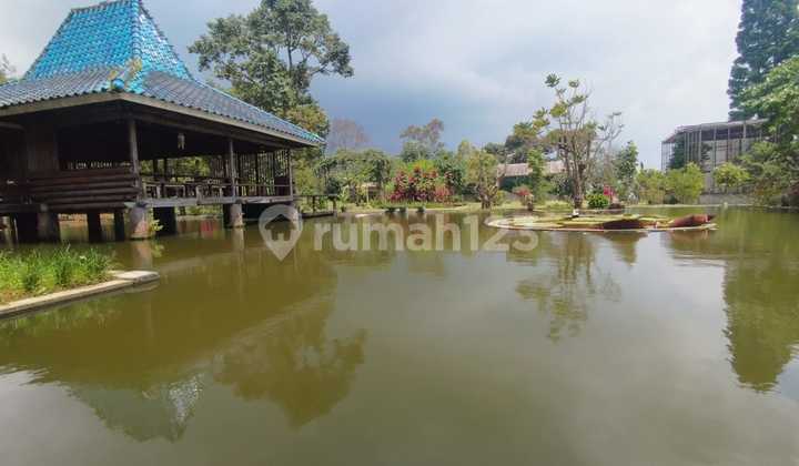 Tanah Bonus Bangunan + Asetnya Jalur Wisata Jalan Raya Puncak