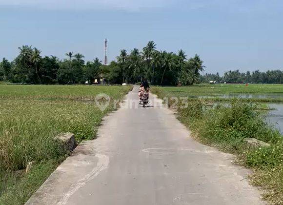 Tanah Lokasi Strategis Dekat Tol Di Sangiang Gede Sepatan Timur Tangerang 1