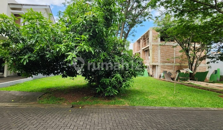 Kavling Badan Diforesta Allevare Bsd City Kavling Badan Diforesta Allevare Bsd City