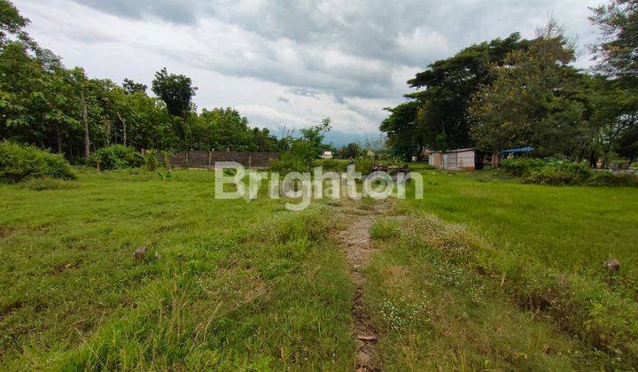 Tanah Siap Bangun Pusat Kota Nganjuk Di Ngepeh, Loceret, Loceret SHM 1