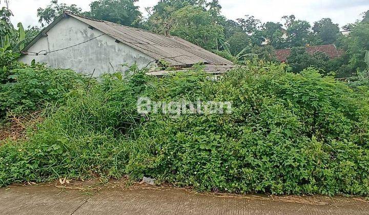 Tanah Pacet Sumber Kembang Dekat dengan RS Sumber Glagah Arah Trawas 1