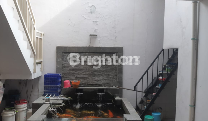 Manyar Tompotika Near Petra 2 2