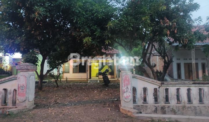 Ketemasdungus House Mojokerto