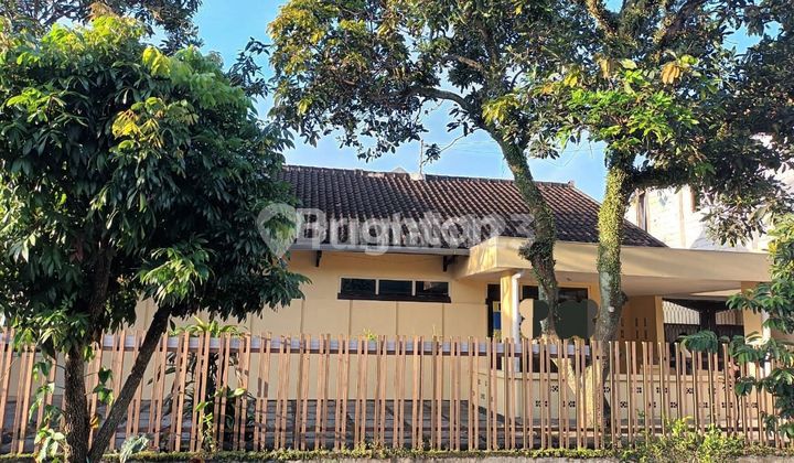 Rumah Jadul Malang Cocok Buat Cafe Kekinian Rumah Jadul Malang Cocok Buat Cafe Kekinian
