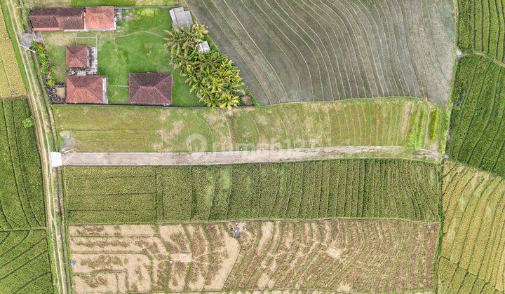 Kavling Murah View Sawah Dekat Pantai Klecung 2