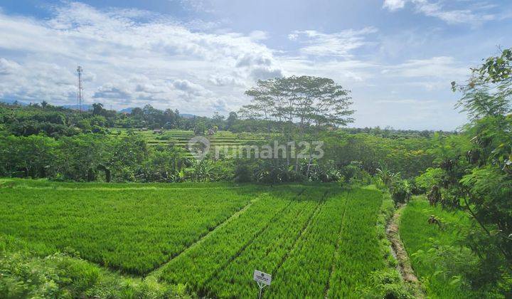 Tanah Indah View Sawah 1