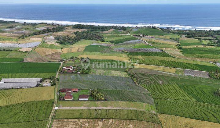 Kavling Murah View Sawah Dekat Pantai Klecung 1