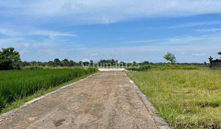 Kavling Murah View Sawah Dekat Pantai Klecung 1