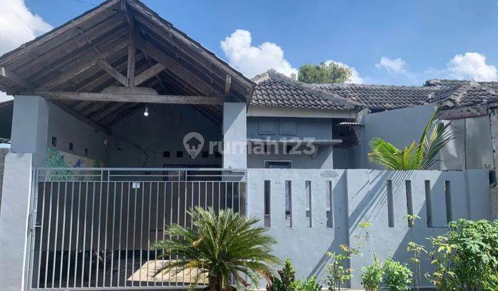 Disewakan Rumah Besar Dan Bersih 1