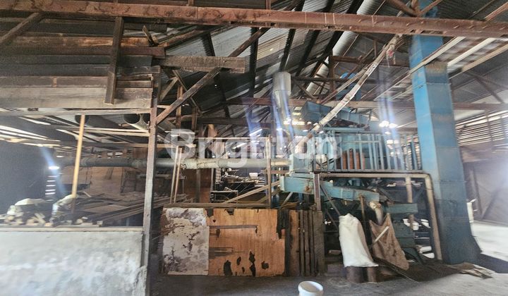 Tanah Kilang Padi dan Rumah  2