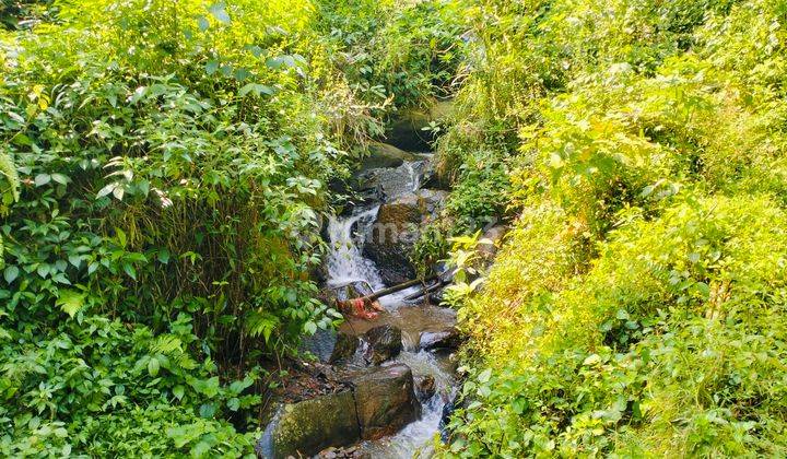 tanah best view Tajur halang Cijeruk Bogor 1