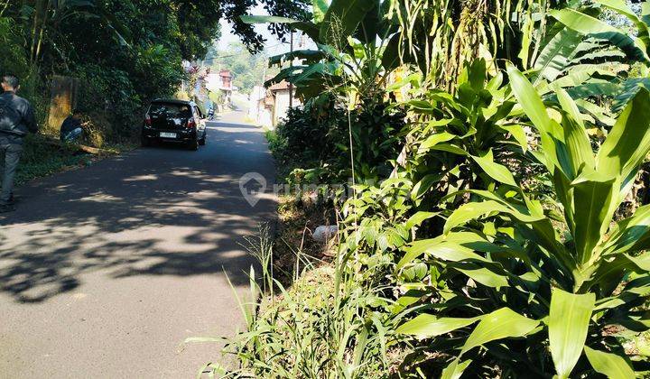 Dijual tanah pinggir jalan utama tajur halang Cijeruk Bogor  1