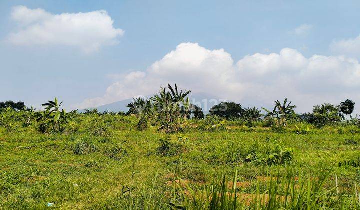 Tanah dijual tajur halang Cijeruk Bogor  1