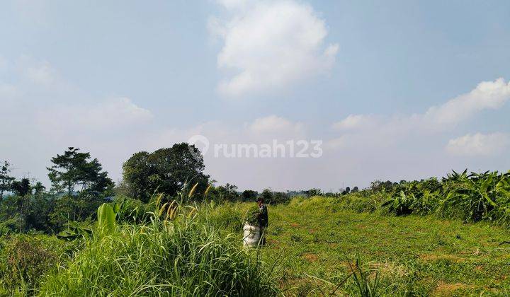 Tanah dijual tajur halang Cijeruk Bogor  2