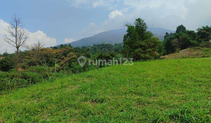 tanah murah best view Tajur halang Cijeruk Bogor 1