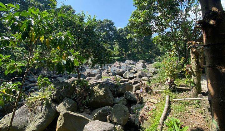 Dijual tanah murah best view gunung salak di Tenjolaya  2