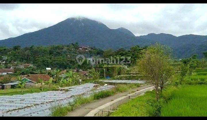 Dijual tanah best view gunung salak di Tenjolaya ciampea Bogor  1