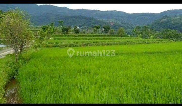 Dijual tanah best view gunung salak di Tenjolaya ciampea Bogor  2