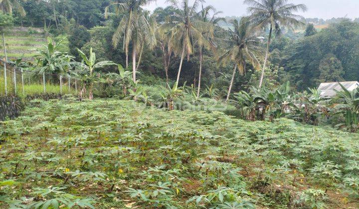 Dijual tanah murah di gunung geulis Sukaraja Bogor  1