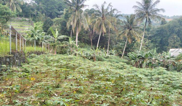 Dijual tanah murah di gunung geulis Sukaraja Bogor  2