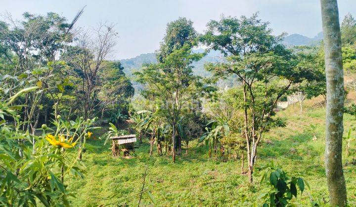 Dijual tanah murah best view gunung geulis Sukaraja Bogor  1