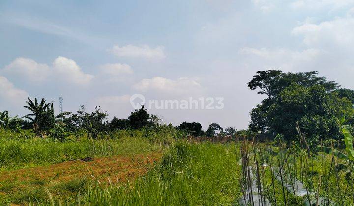 Dijual tanah murah best view gunung di Cijeruk Bogor  2