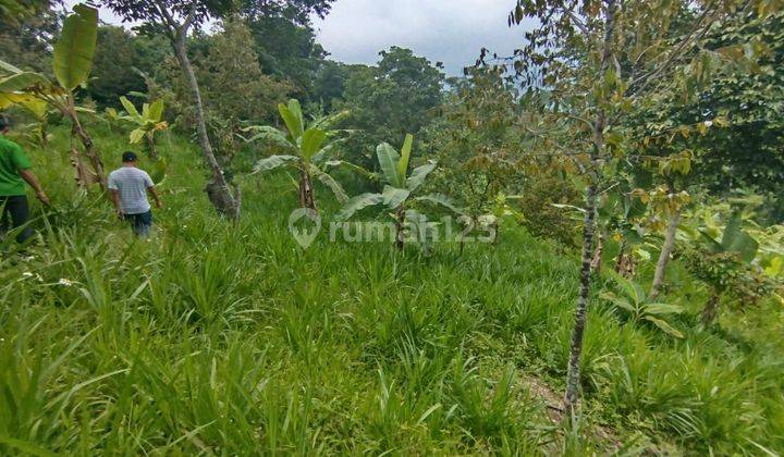 Dijual Tanah Murah Best View Di Sukamakmur  2