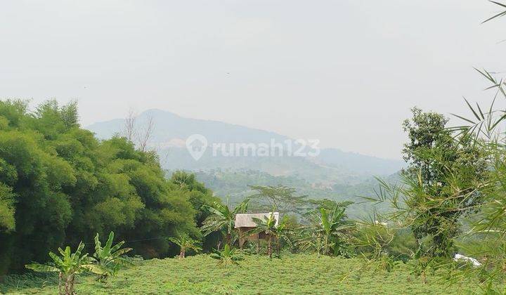 Tanah Murah Strategis Di Sukamakmur Bogor  1