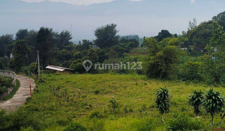 Dijual Tanah Best View Tajur Halang Cijeruk Bogor  2