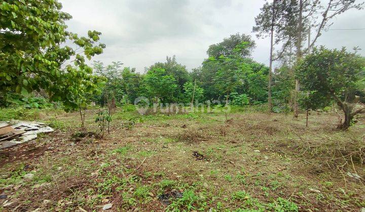 Dijual Tanah Industri Di Karang Asem Barat Citeureup Bogor  1