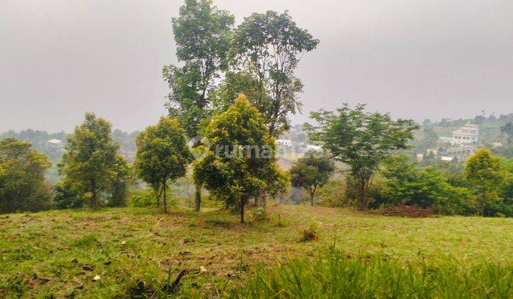 Dijual Tanah Di Cijeruk Best View Gunung Dan City Light Bogor  2