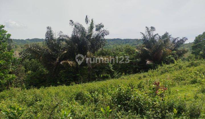 Dijual Tanah Best View Termurah Di Bogor  2