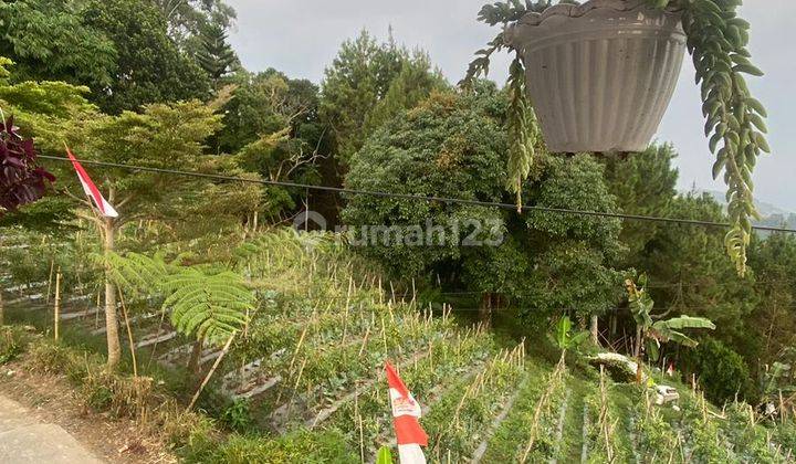 Tanah Cocok Untuk Villa outbond Area Maribaya, Dago Giri 1