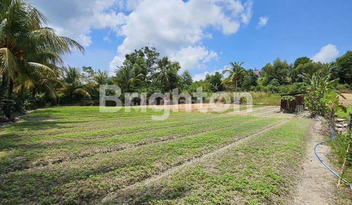 tanah di rawamangun cocok untuk town house / kavlingan 1