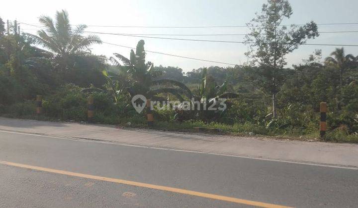 Tanah Pinggir Jalan Poros Jl Soekarno Hatta 2