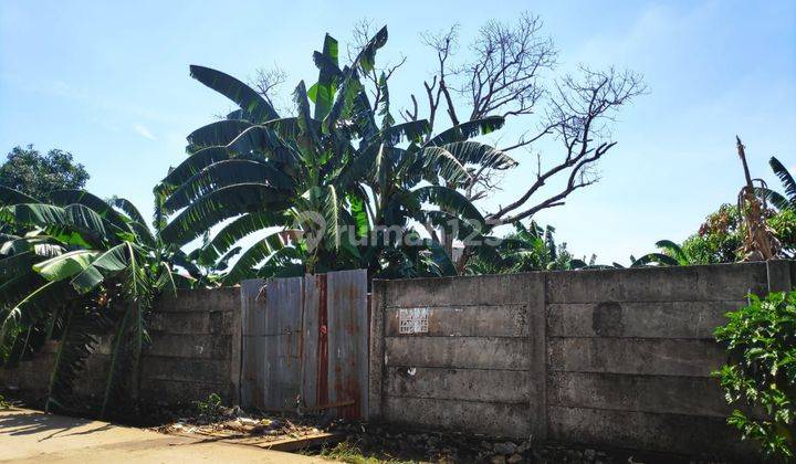 TANAH PINGGIR JALAN BERUA RAYA 1