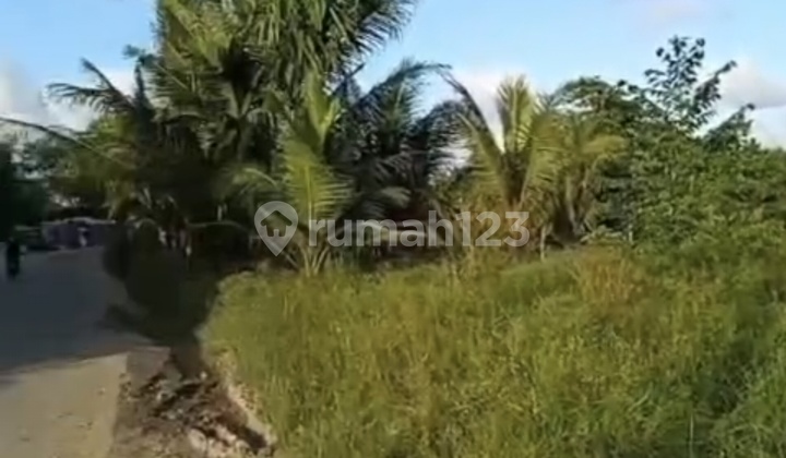 Tanah Kilo 12 Tanah Kilo 12