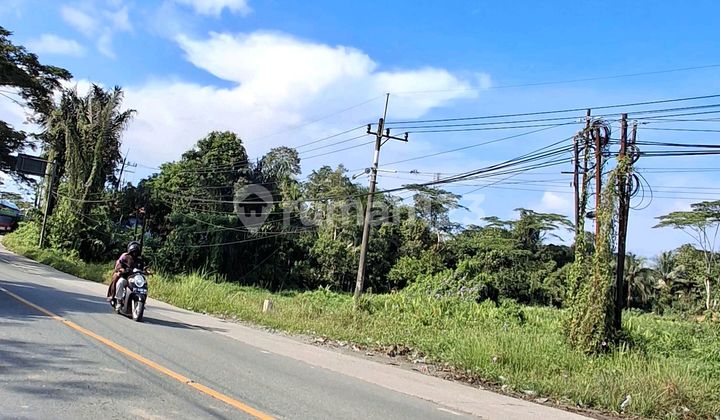 Land on the Main Road at Kilometer 15