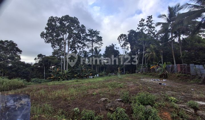 Land Adjacent to the Main Road